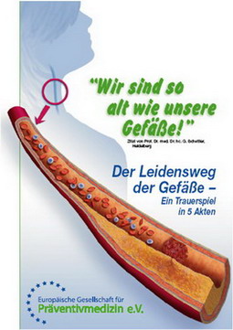 gef&auml;&szlig;allter